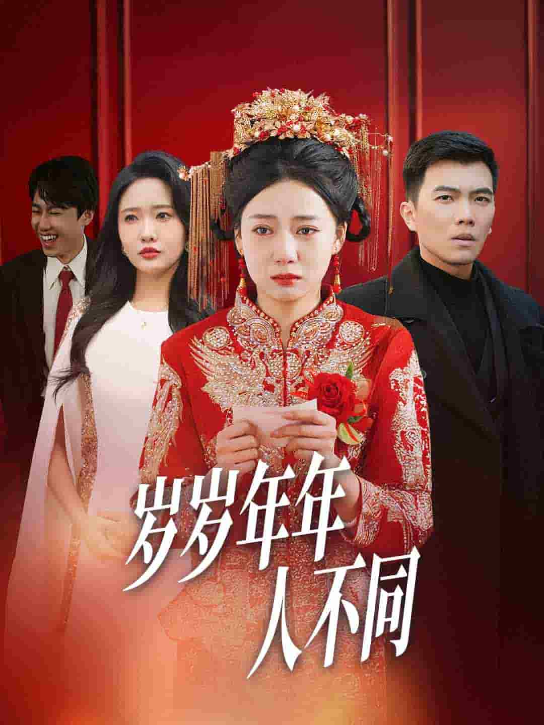 岁岁年年人不同(2025)海报