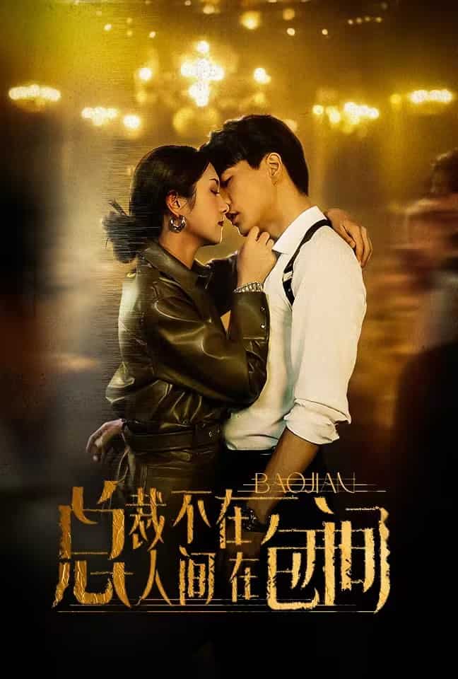 总裁不在人间在包间(2024)海报