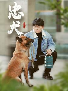 忠犬(短剧版)(2025)海报