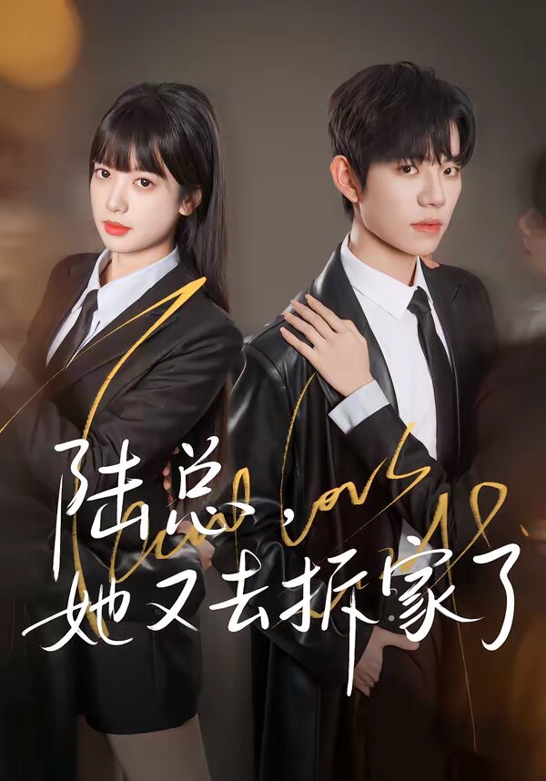 陸總,她又去拆家了(2026)海報