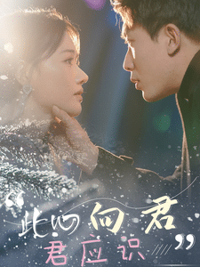 此心向君君應識(2025)海報