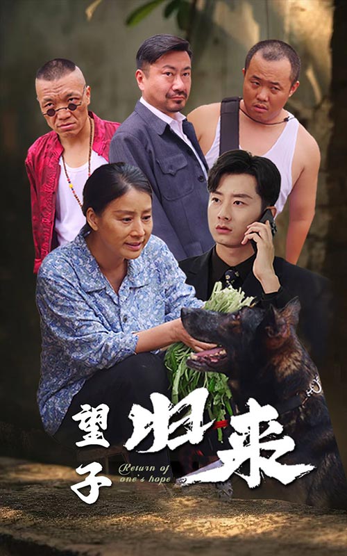 望子归来(2024)海报