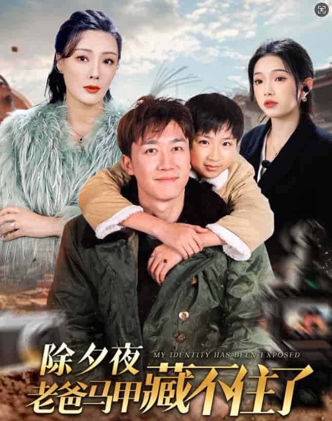 除夕夜老爸馬甲藏不住了(2025)海報