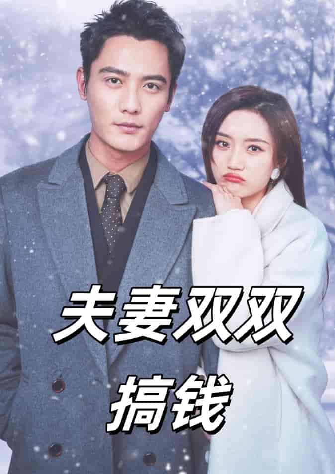 夫妻双双搞钱(2024)海报