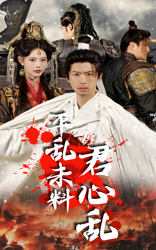 平亂未料君心亂(2025)海報