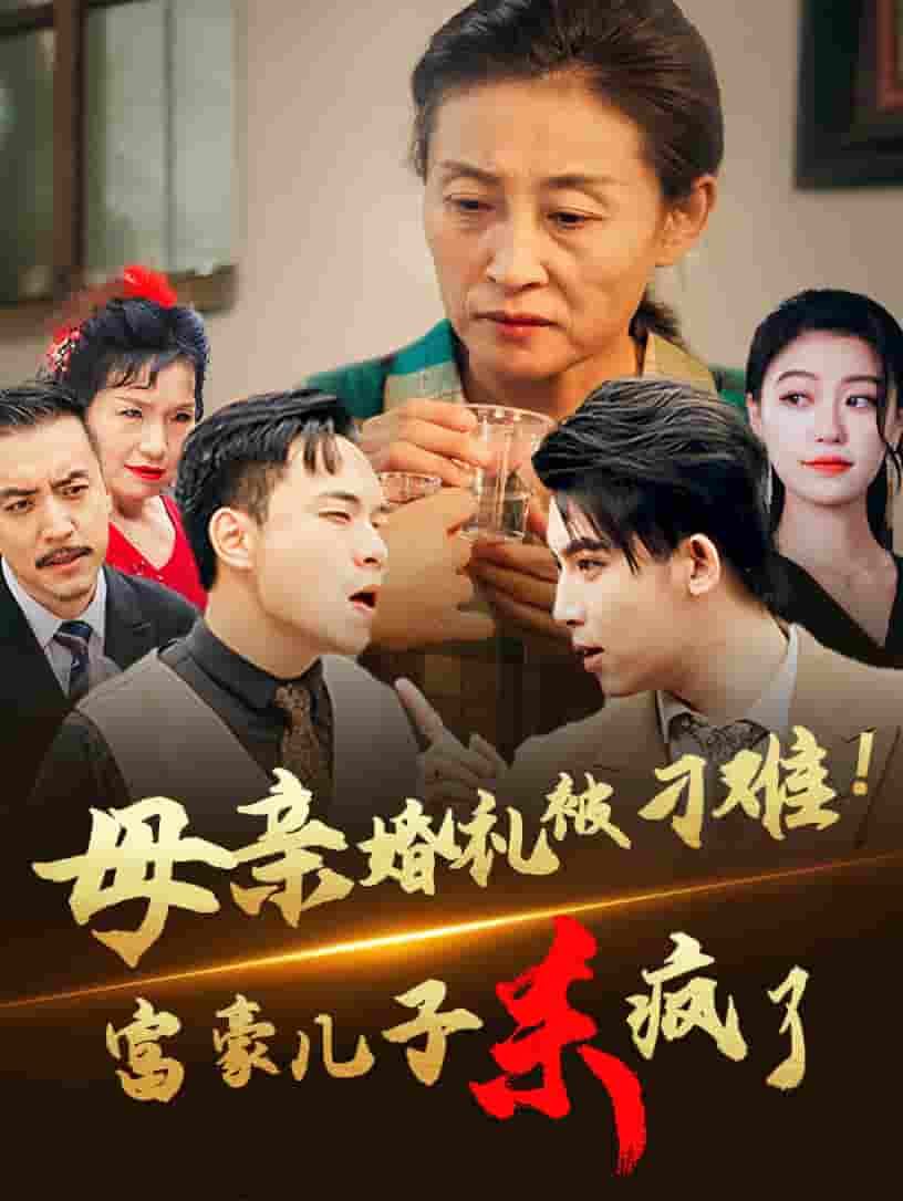 母亲婚礼被刁难首富儿子杀疯了(2024)海报