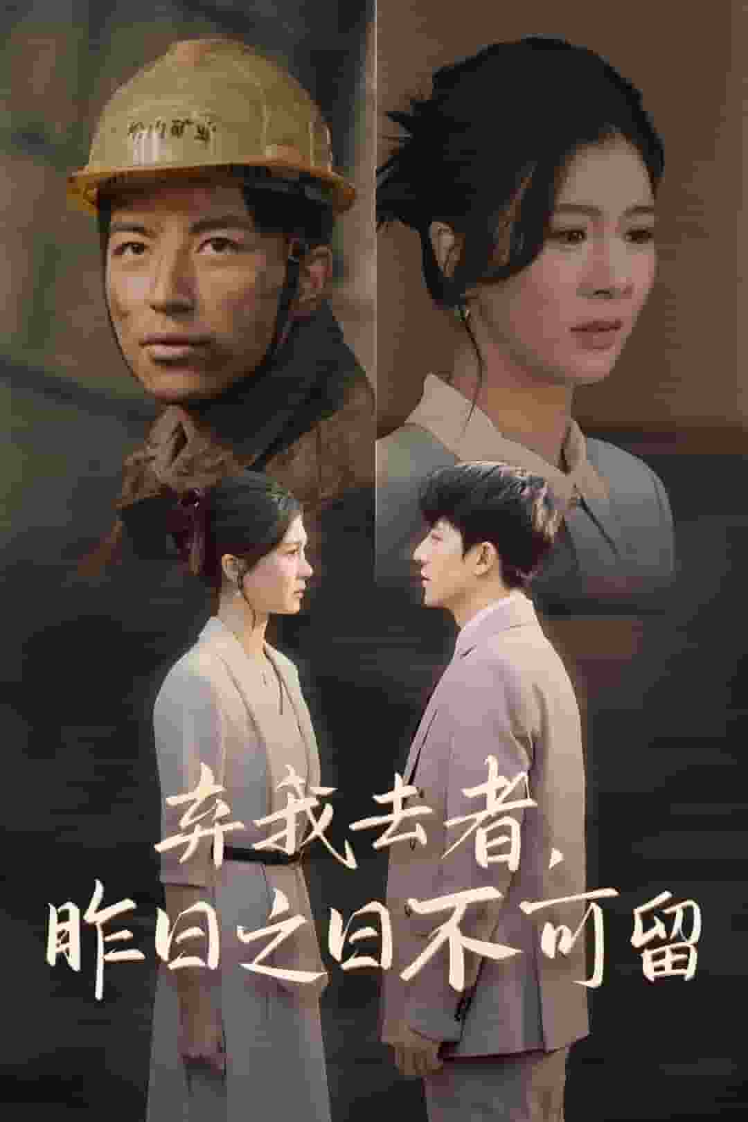 棄我去者,昨日之日不可留(2025)海報