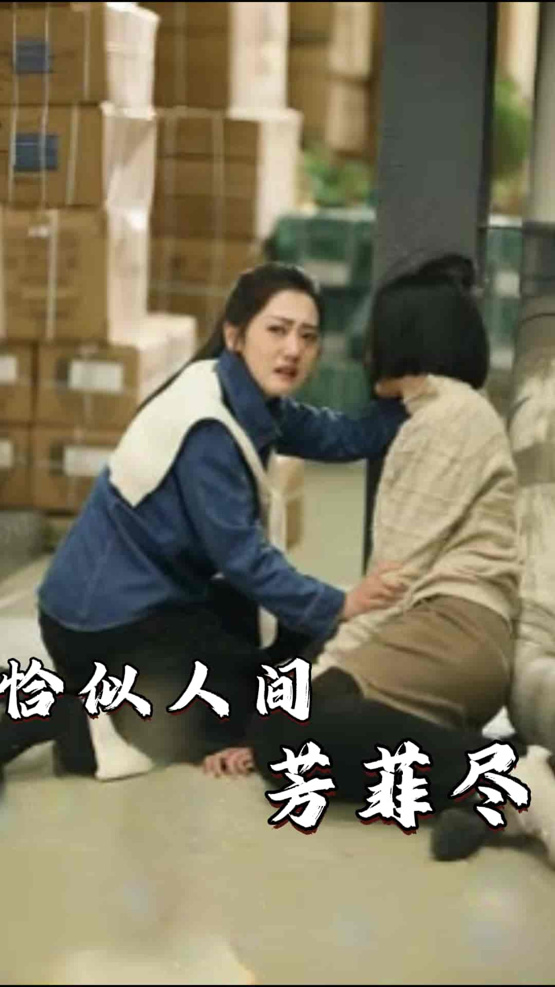 恰似人間芳菲盡(2024)海報