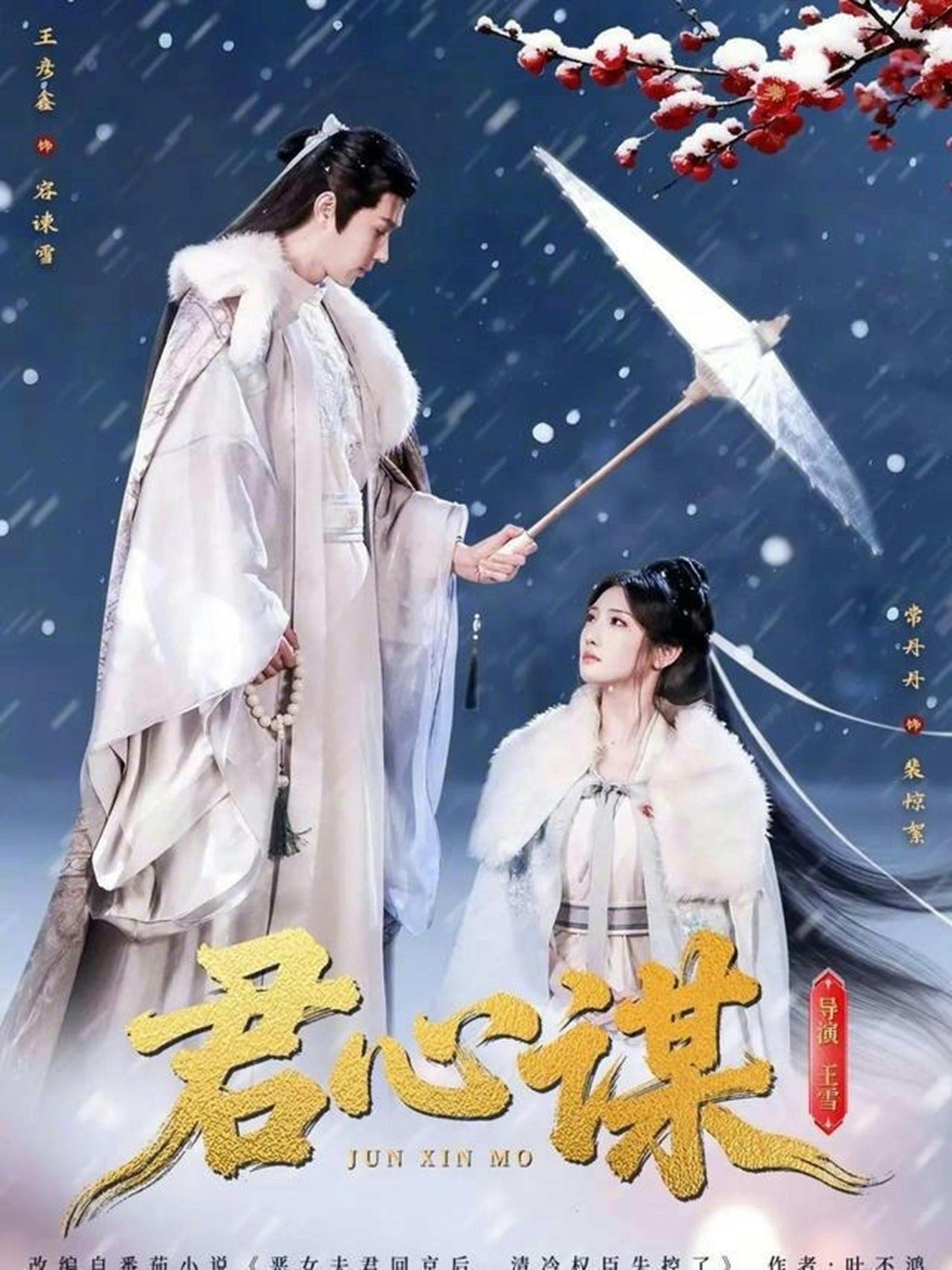君心謀(2026)海報