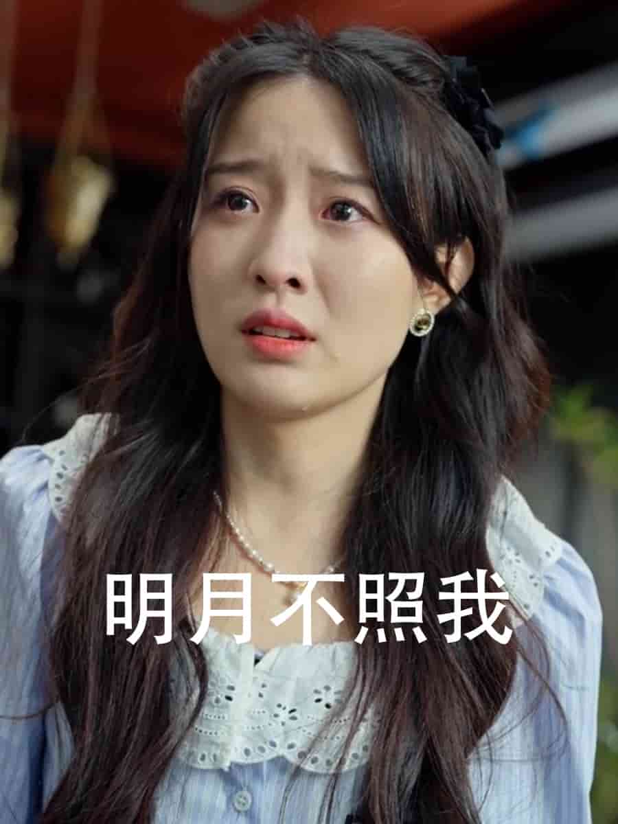 明月不照我(2024)海报