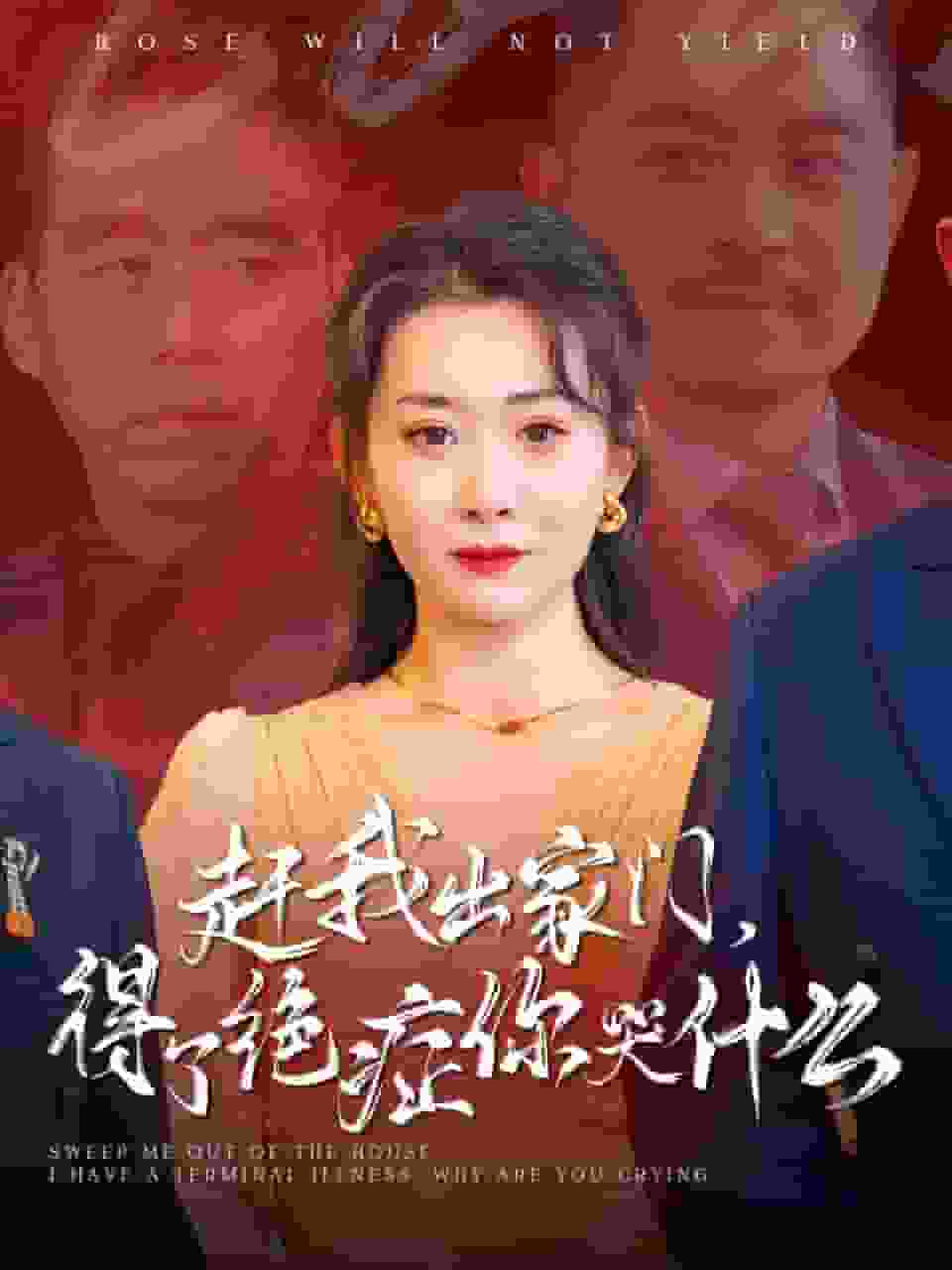 赶我出家门得了绝症你哭什么(2024)海报