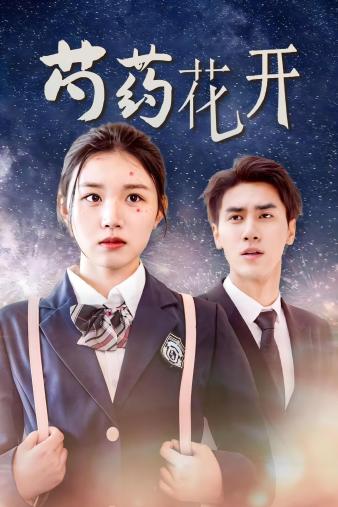 火光中的芍药花(2024)海报