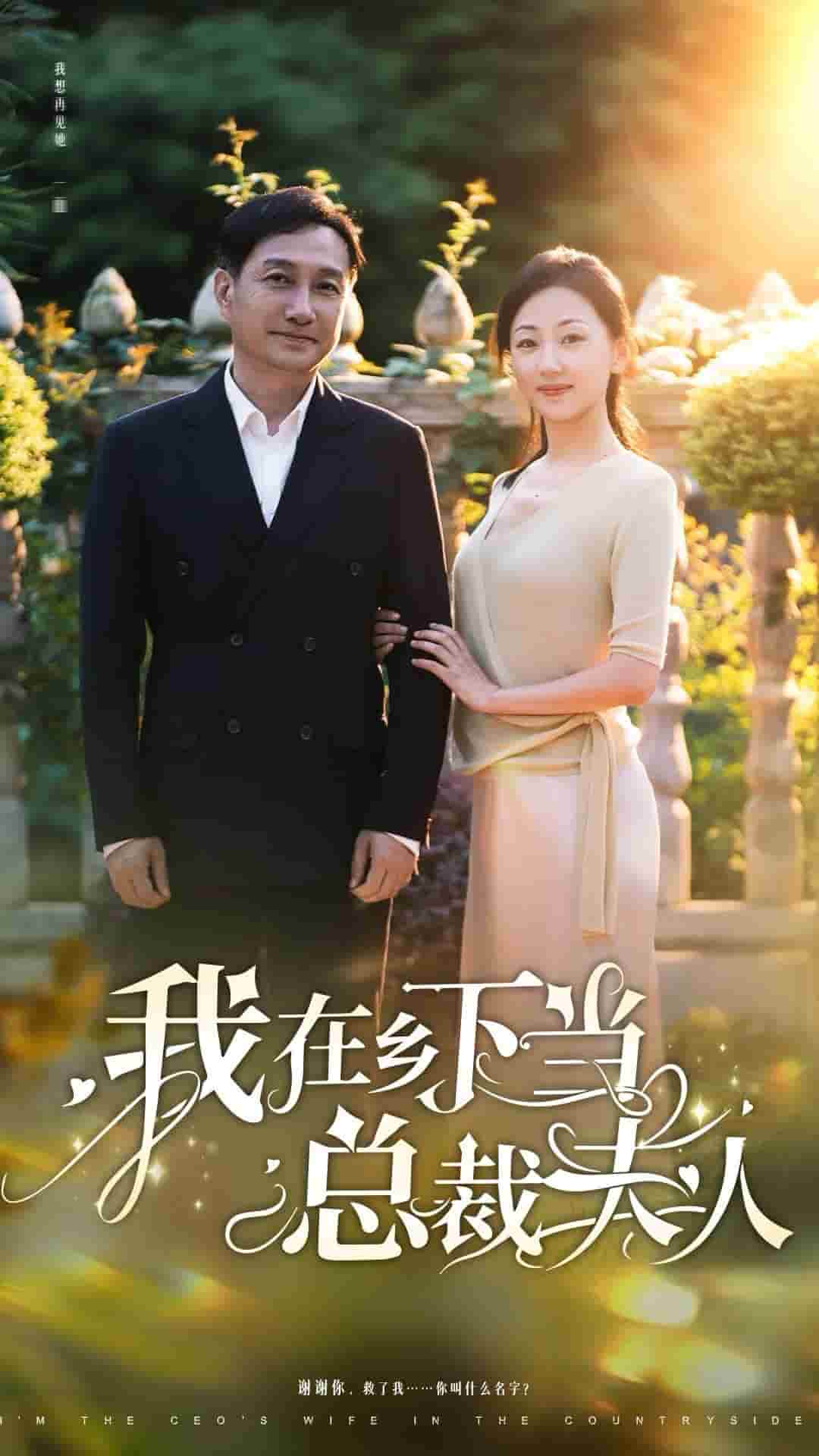 我在鄉下當總裁夫人(2024)海報