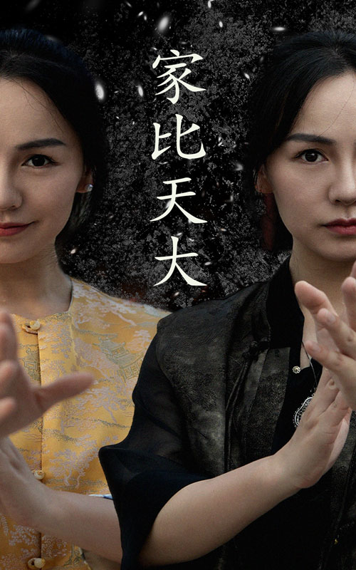 家比天大 短剧版(2024)海报