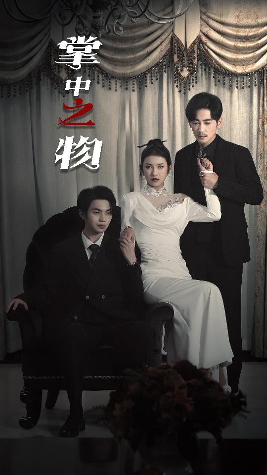 掌中之物(2024)海报