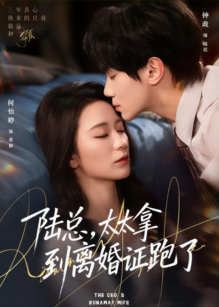 陸總,太太拿到離婚證跑了(2026)海報