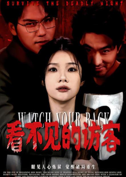 看不见的访客(2026)海报