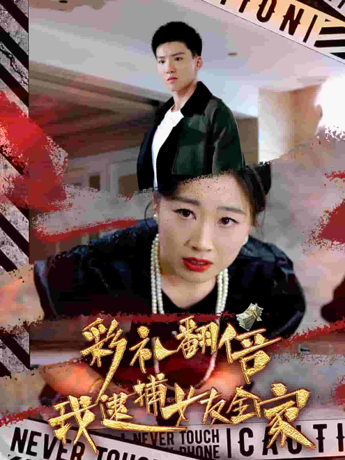 彩禮翻倍我逮捕女友全家(2024)海報