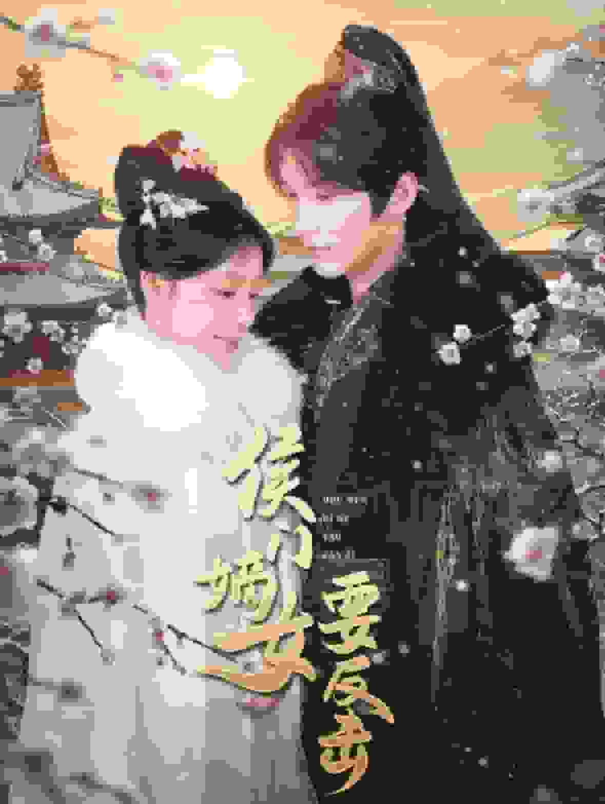 侯门嫡女要反击(2025)海报