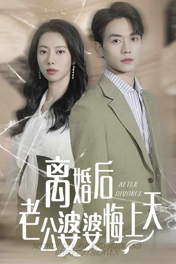 離婚後老公婆婆悔上天(2024)海報