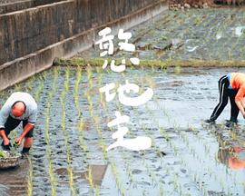 憨地主(2022)海報