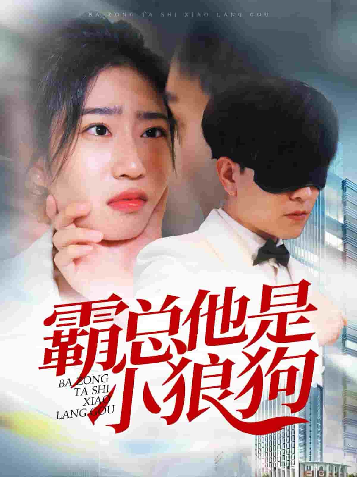霸总他是小狼狗(2024)海报