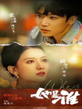 她是谁2(2024)海报