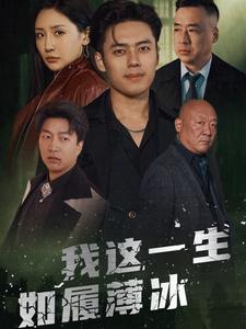 我这一生如履薄冰(2025)海报