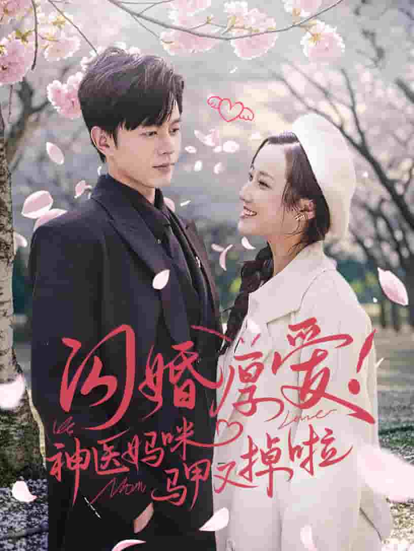 闪婚厚爱神医妈咪马甲又掉啦(2025)海报