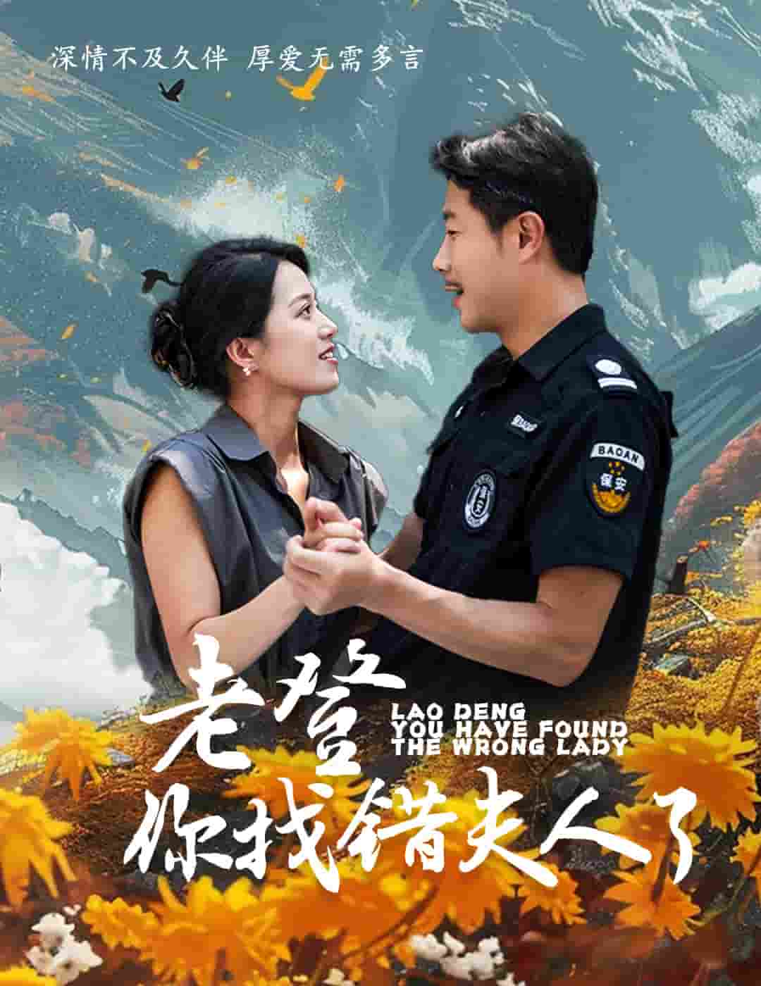 老登你找错夫人了(2024)海报