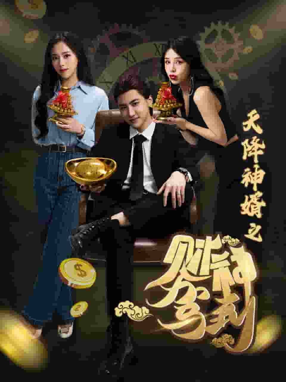 天降神婿之财神驾到(2024)海报