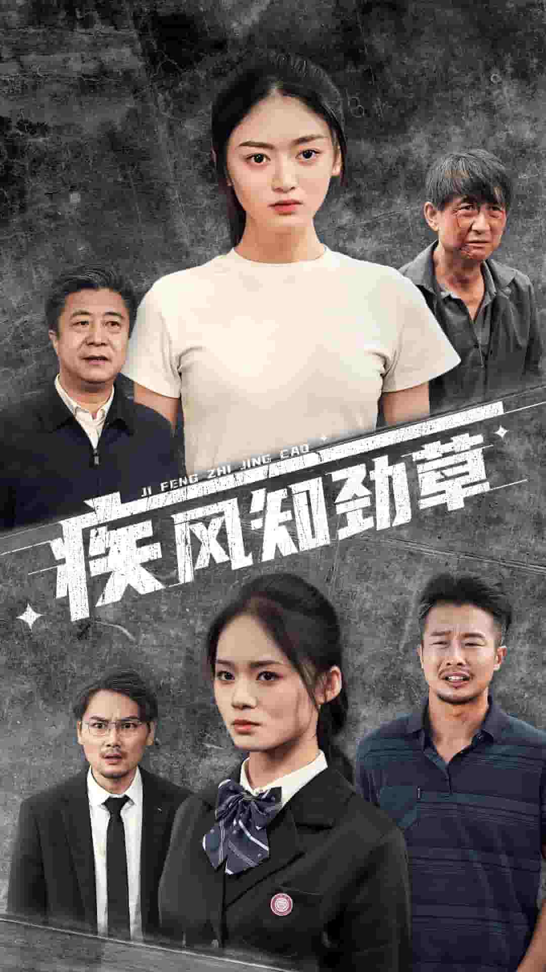 疾風知勁草(2024)海報