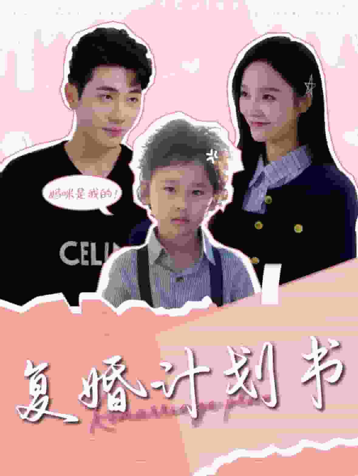 复婚计划书(2025)海报