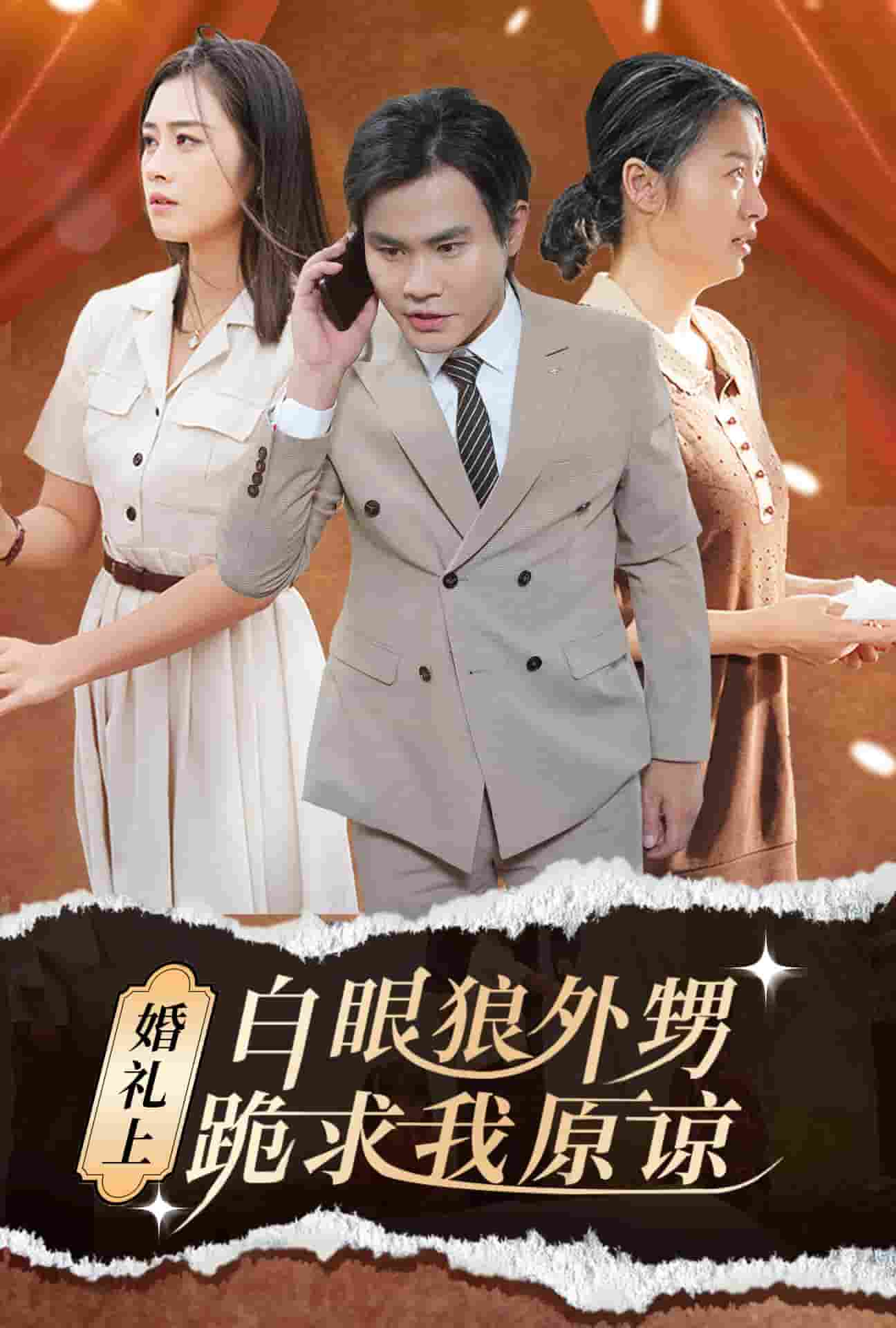 婚禮上白眼狼外甥跪求我原諒(2024)海報