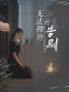 无法拥抱的告别(2024)海报