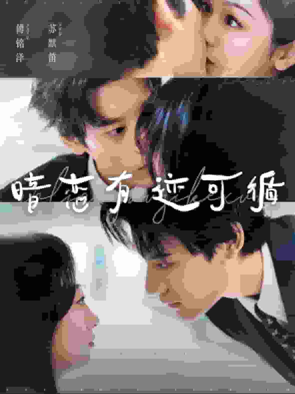 暗恋有迹可循(2025)海报