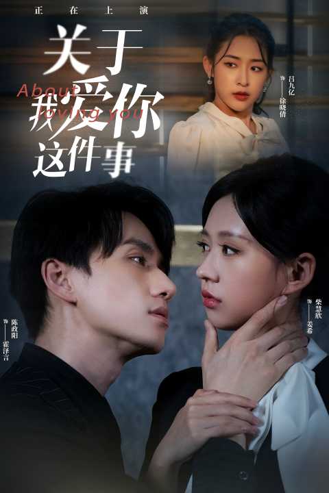 关于我爱你这件事(2024)海报