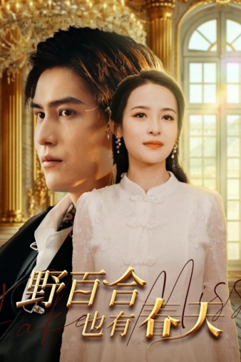 野百合也有春天 短劇版(2024)海報