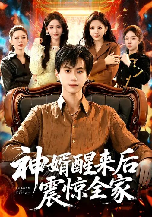 神婿醒来后震惊全家(2026)海报