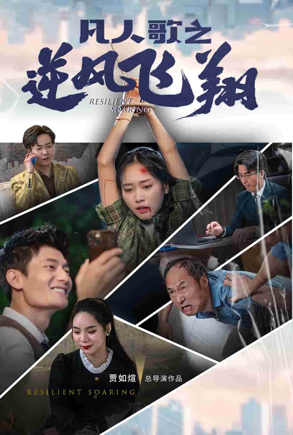凡人歌之逆风飞翔(2024)海报