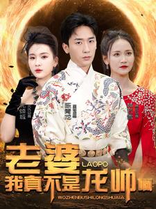 老婆我真不是龍帥啊(2024)海報