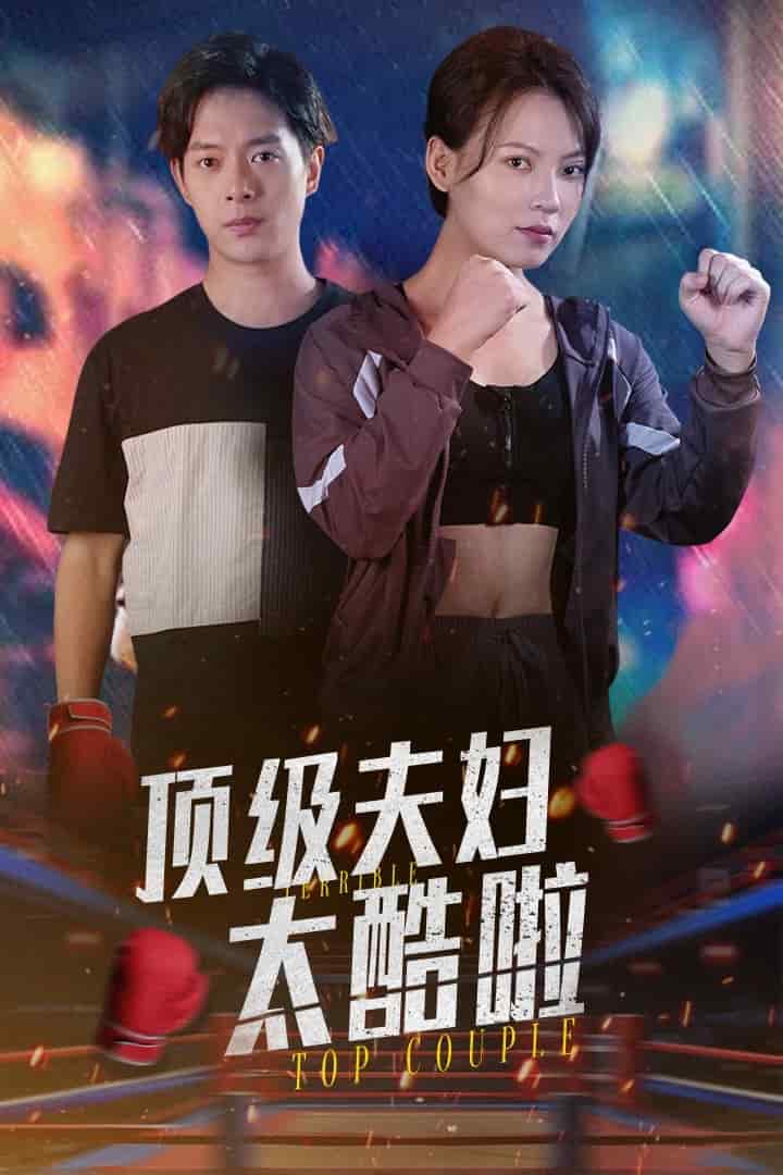 顶级夫妇太酷啦(2025)海报