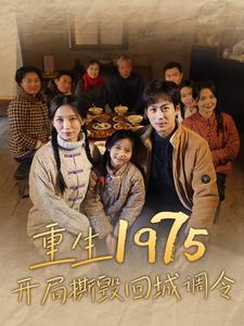重生1975開局撕毀回城調令(2024)海報