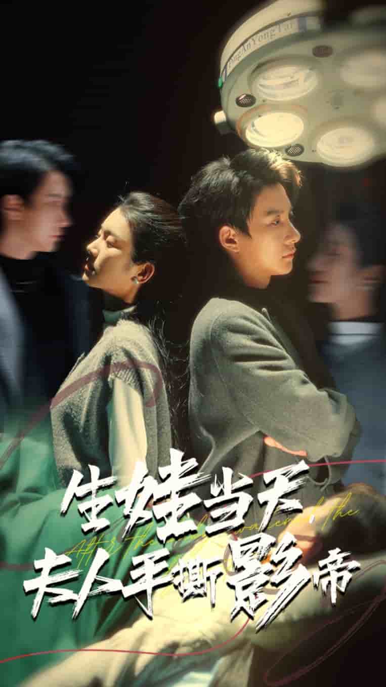 生娃当天夫人手撕影帝(2025)海报