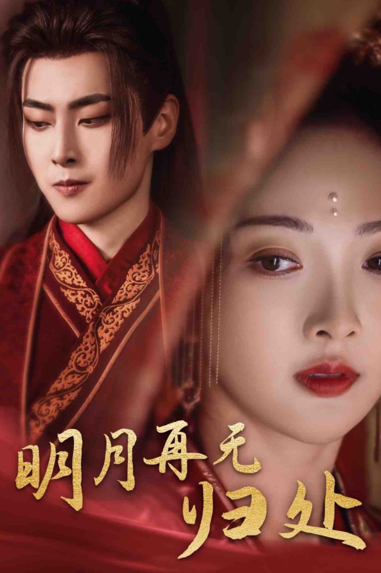 明月再无归处(2025)海报