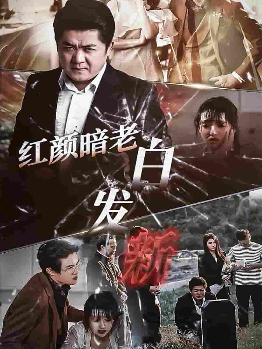 红颜暗老白发新(2024)海报