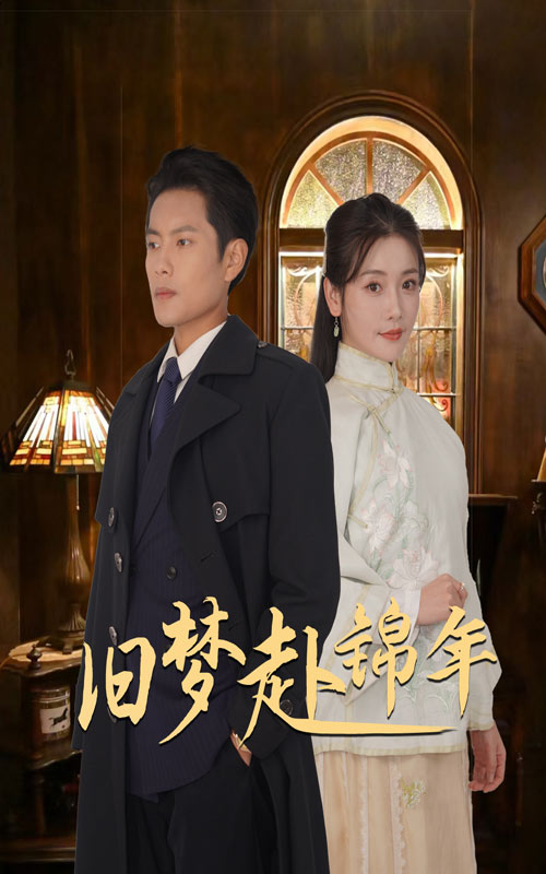 旧梦赴锦年(2025)海报