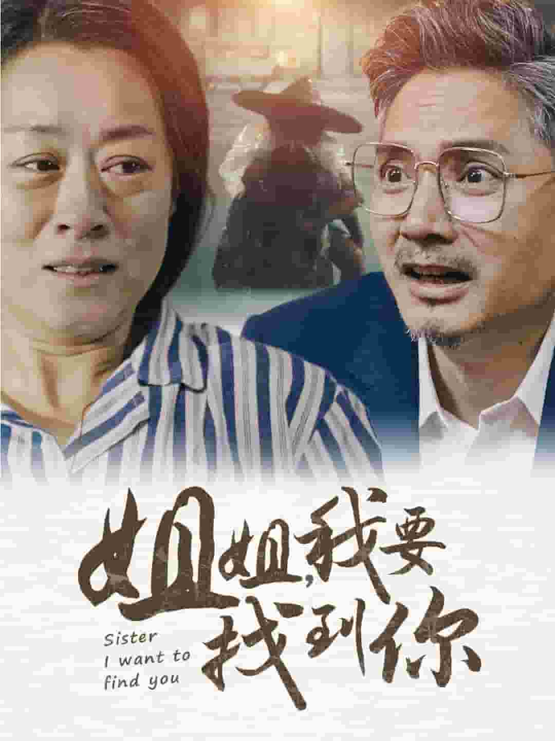 姐姐我要找到你(2024)海报