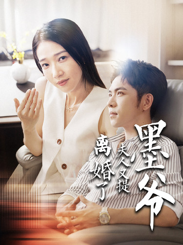 墨爺夫人又提離婚了(2024)海報