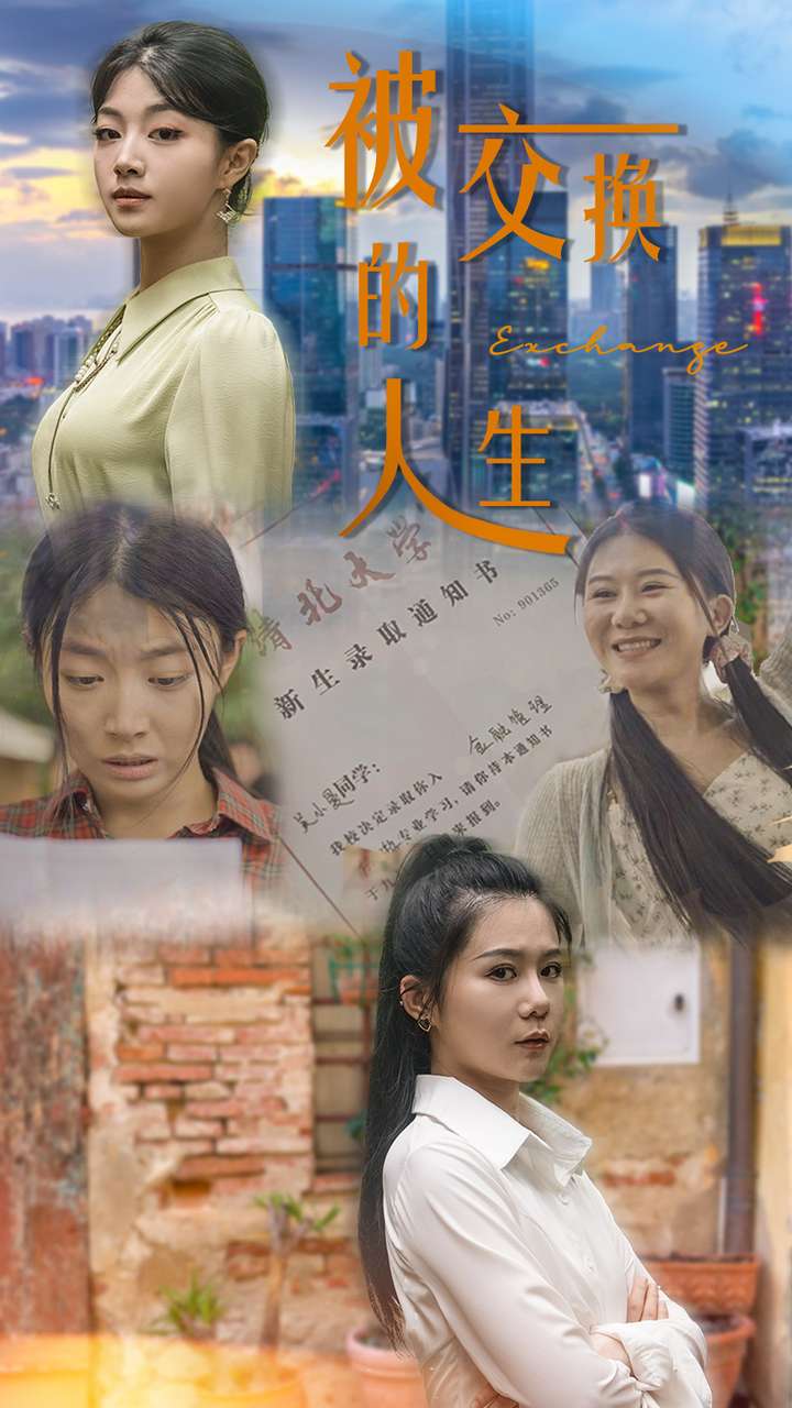 被交换的人生(2024)海报